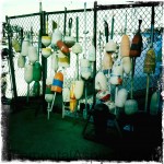 Fishing buoys hanging on a fence in Boston Harbor