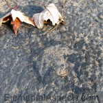 Memories of falling leaves; outline of fallen leaf on sidewalk