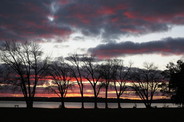 Onondaga Lake sunset through line of trees